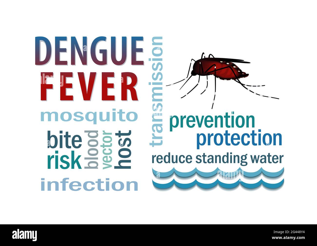 Dengue Fever, mosquito, blood filled biting insect, standing water, public health risk, infectious disease vector, word cloud isolated on white Stock Photo