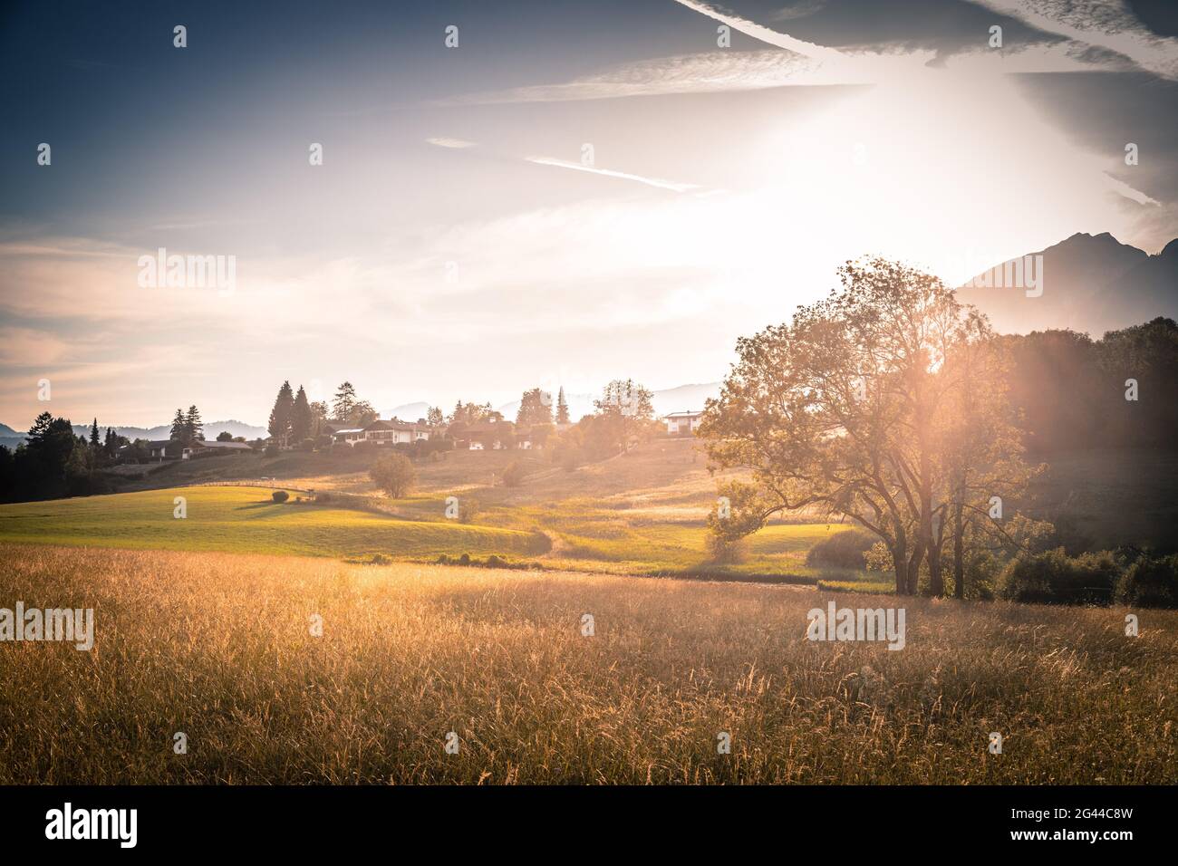 Scenic sundown: Golden meadow, hills and mountains Stock Photo - Alamy