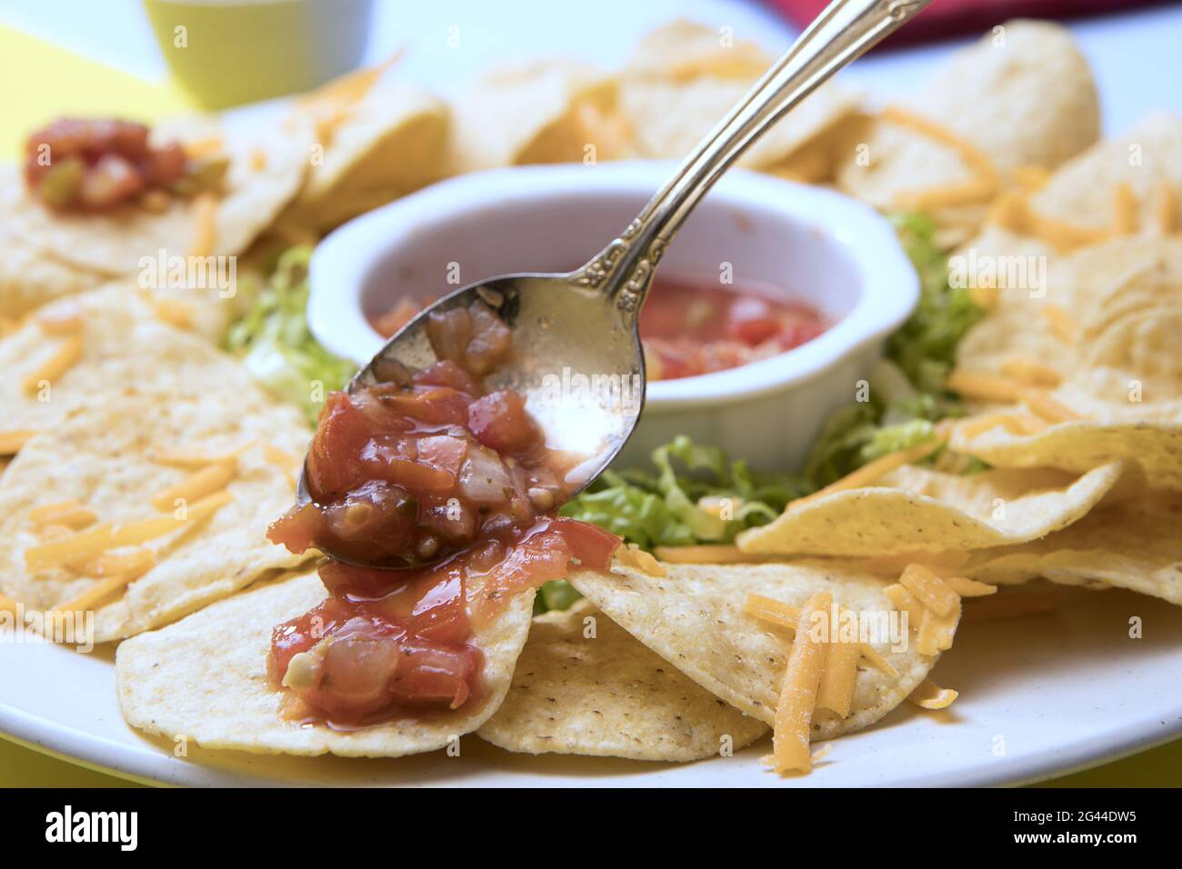 Putting salsa on a tortilla chip Stock Photo Alamy