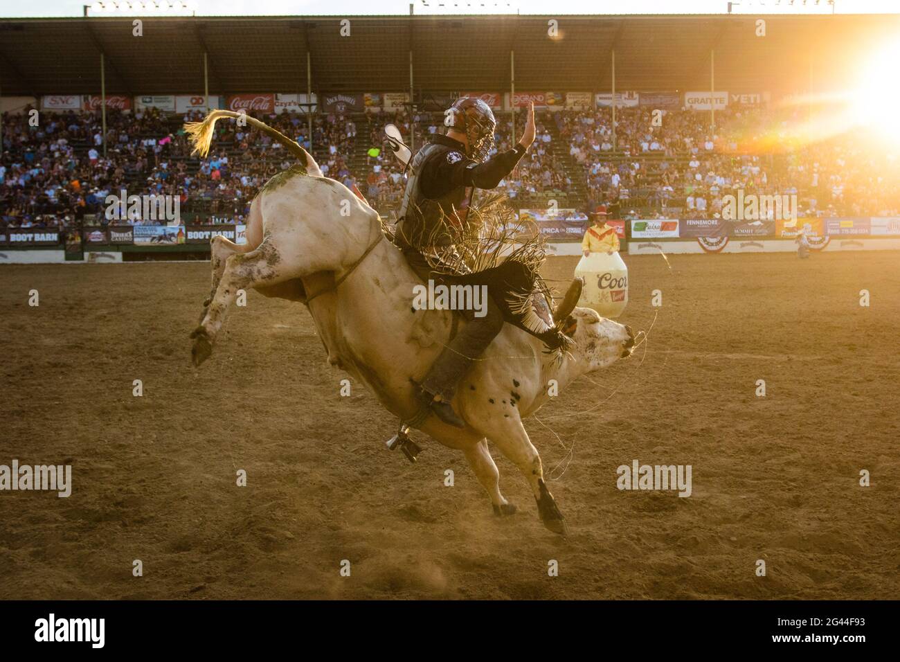 Prca sports hi-res stock photography and images - Alamy