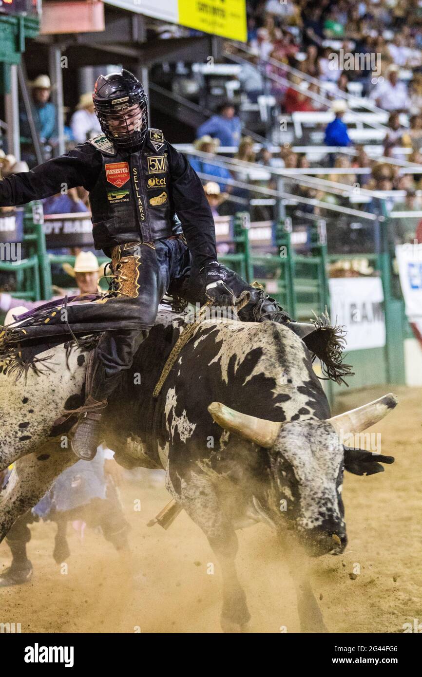 Reno, USA. 17th June, 2021. Clayton Sellars seen riding on Renegade by Big Stone Rodeo Inc. She won the PRCA 2021 Xtreme Bulls with a score of 90.5.The 102nd Reno Rodeo kicked off with the PRCA Xtreme Bulls event. Credit: SOPA Images Limited/Alamy Live News Stock Photo