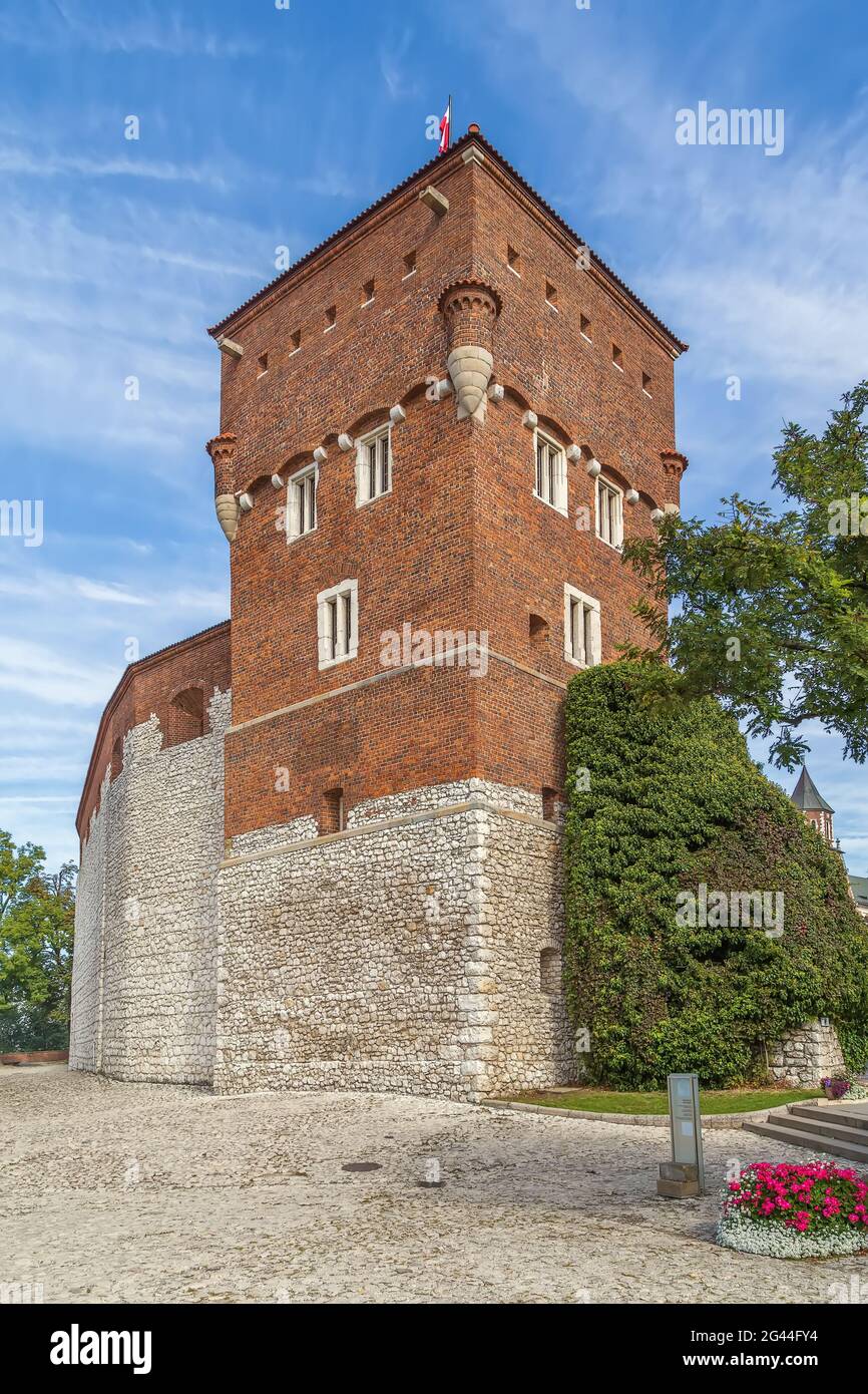 Thieves' Tower, Krakow, Poland Stock Photo