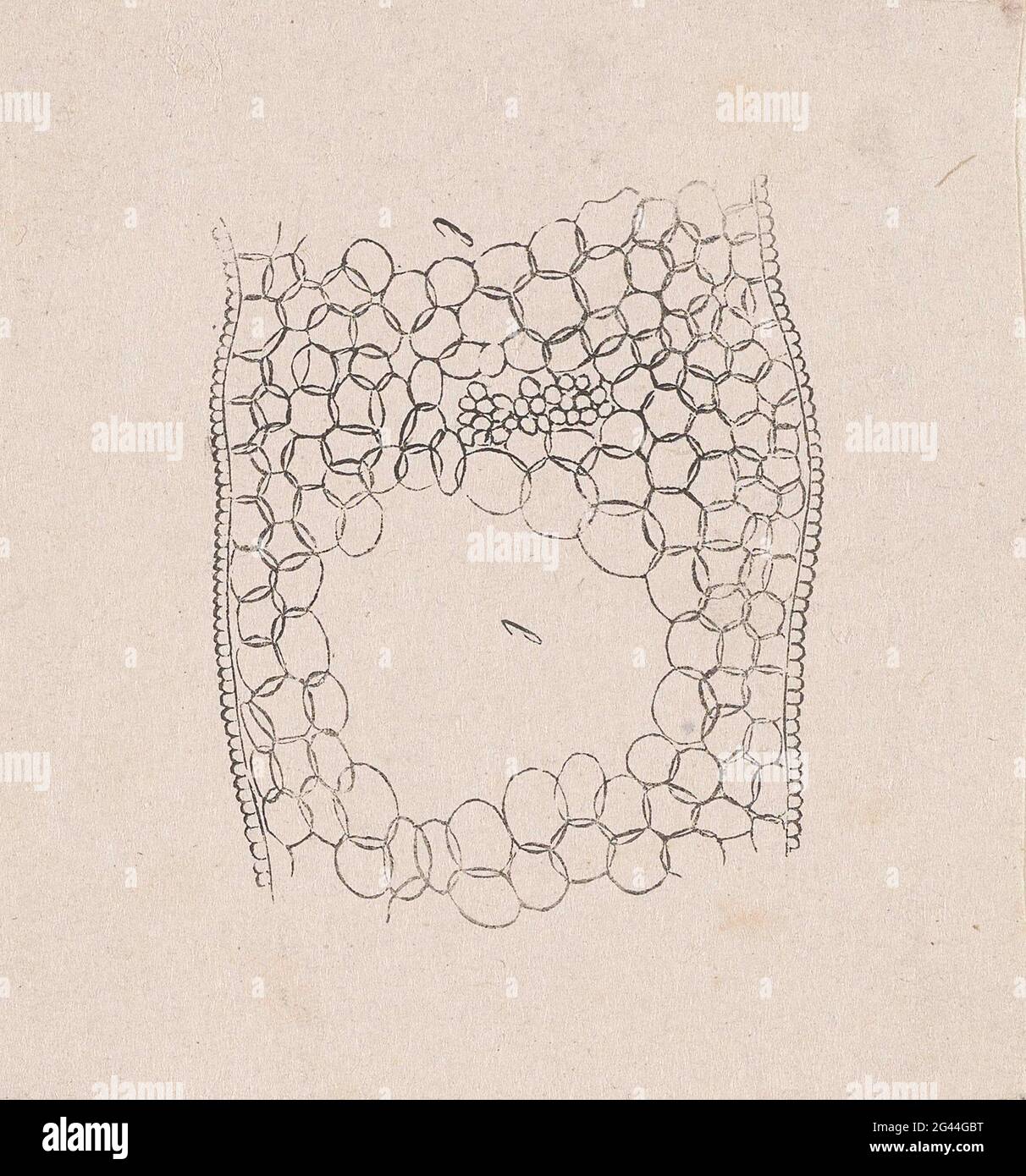 Part of the human body with a deviation Stock Photo - Alamy