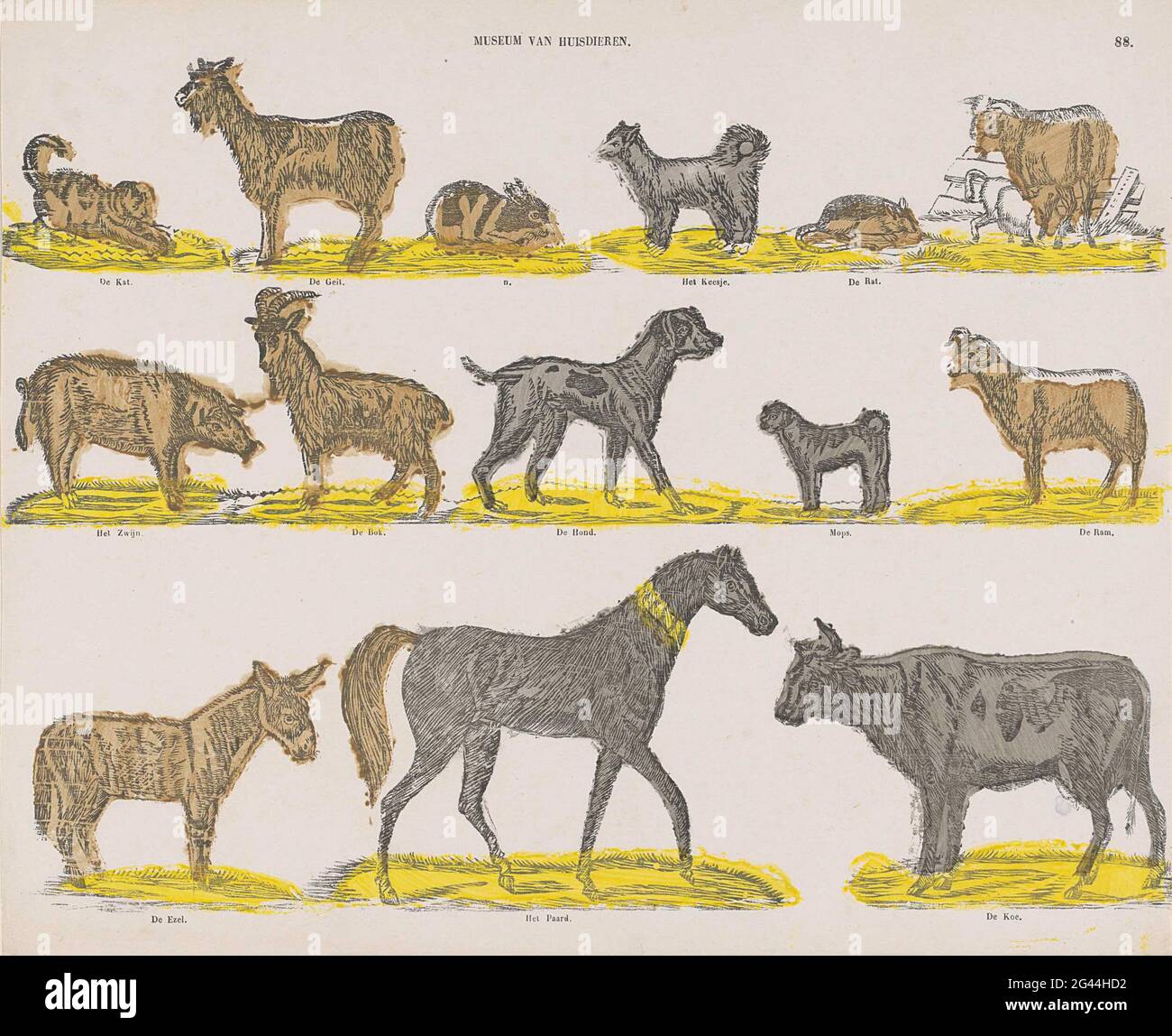 Pets Museum. Sheet with 3 hotthrizontal rows with performances of ...