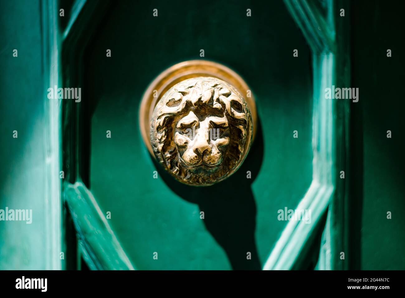 Image of a lion on a green background on a painted wooden surface. Stock Photo