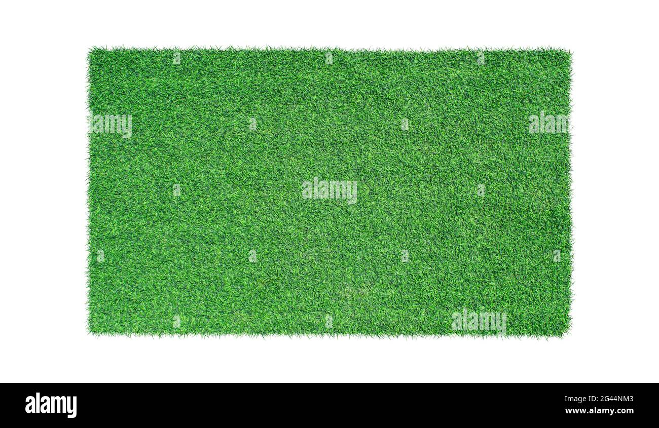 Green grass isolated on white background. Top view Stock Photo