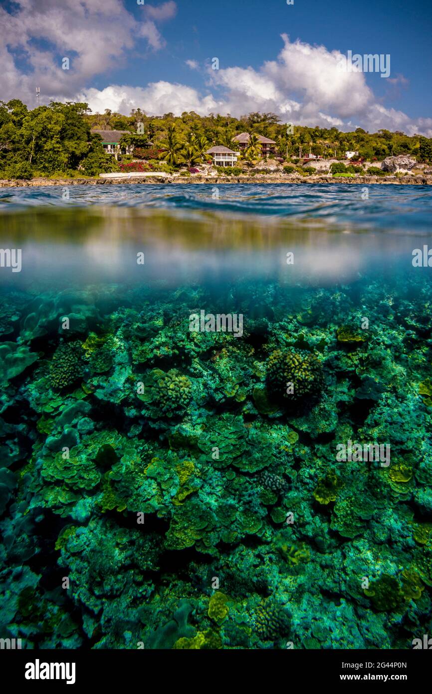 Underwater off Tanna, Vanuatu, South Pacific, Oceania Stock Photo