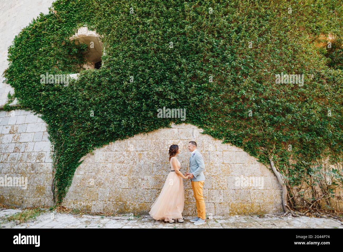 Beautiful newlyweds hold hands against the background of a stone wall entwined with gorgeous green ivy Stock Photo