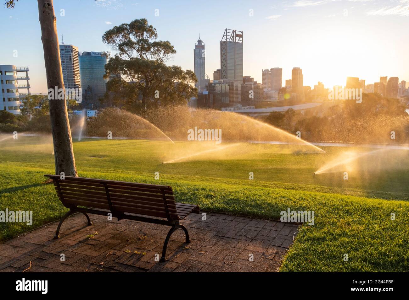 Perth skyline at sunrise from Kings Park. Stock Photo