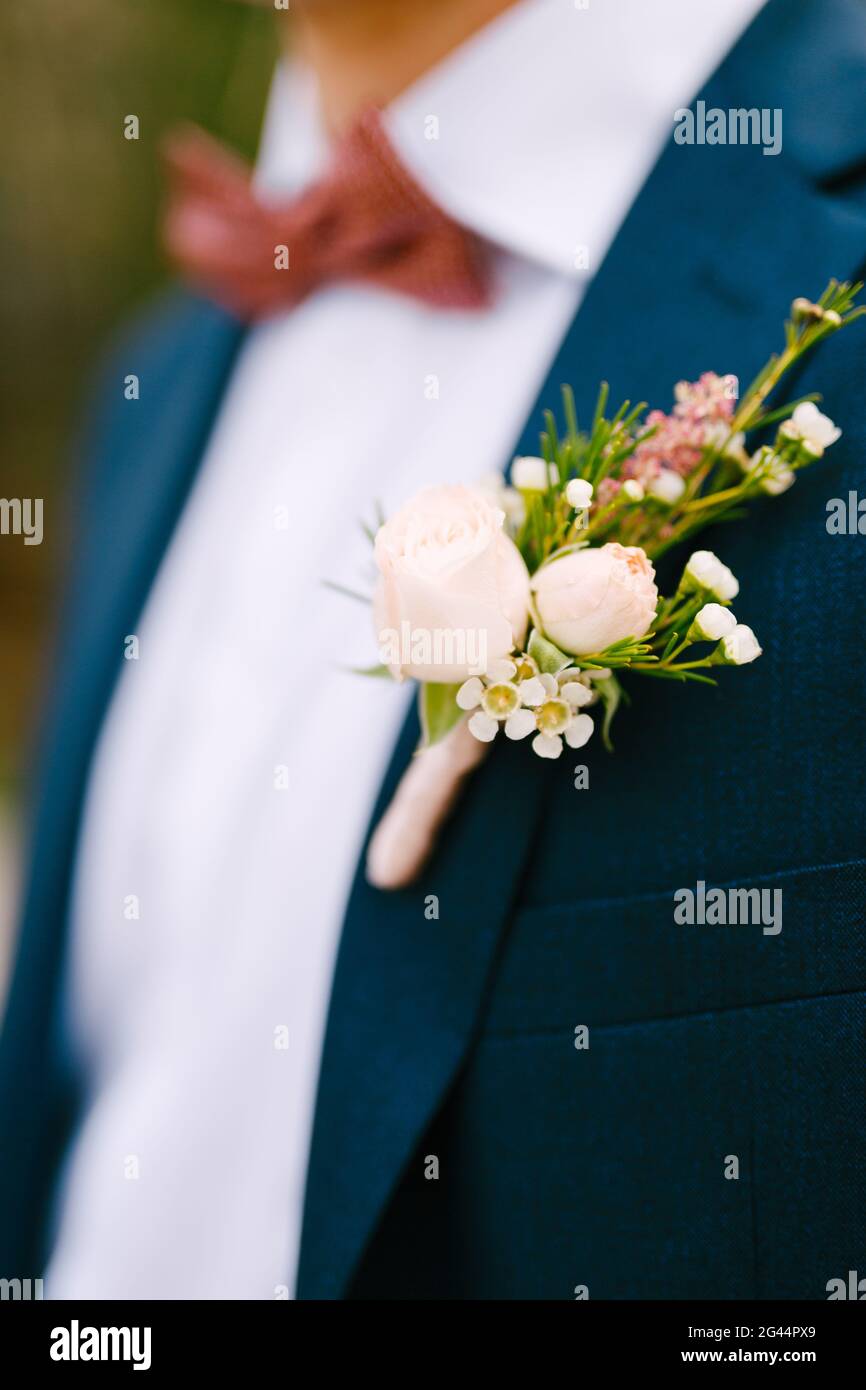 A man in a blue jacket, white shirt, burgundy bow tie and with a boutonniere of small roses and white flowers Stock Photo
