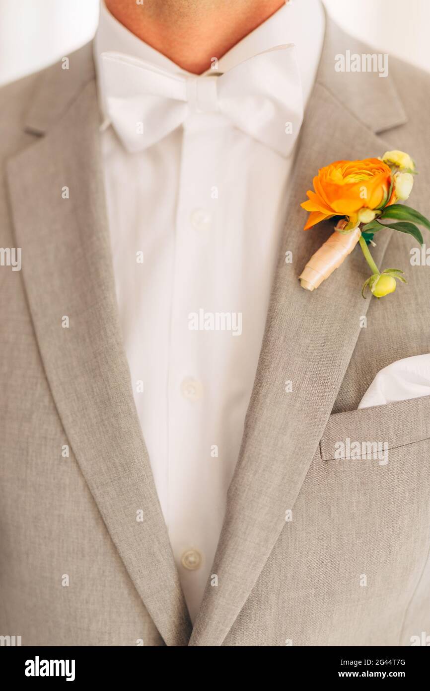 The groom in a gray suit with a white bow tie and a boutonniere with orange flowers in a hotel room, close-up Stock Photo