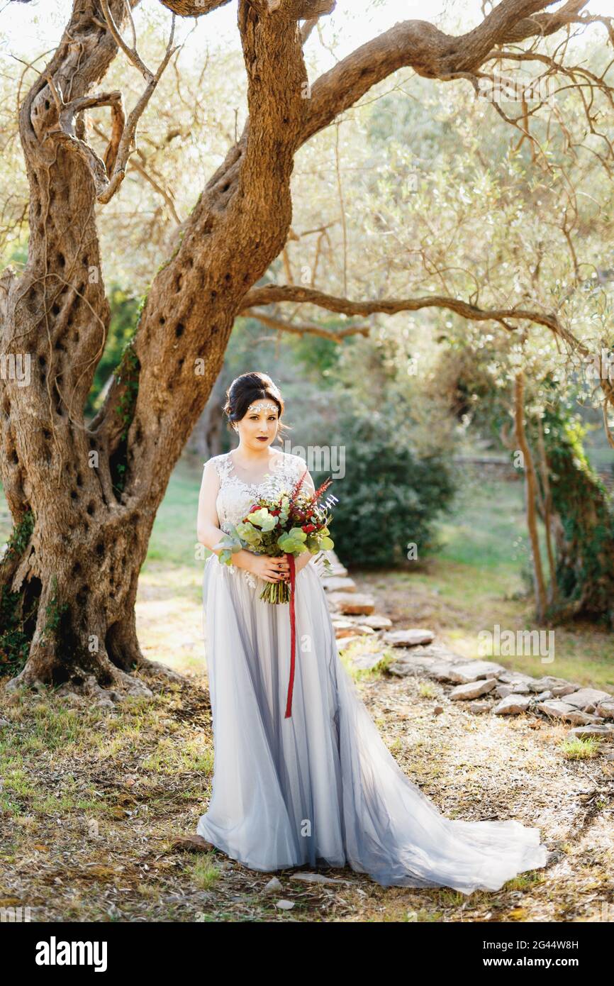 A bride with a wedding bouquet stands under the beautiful olive tree in ...