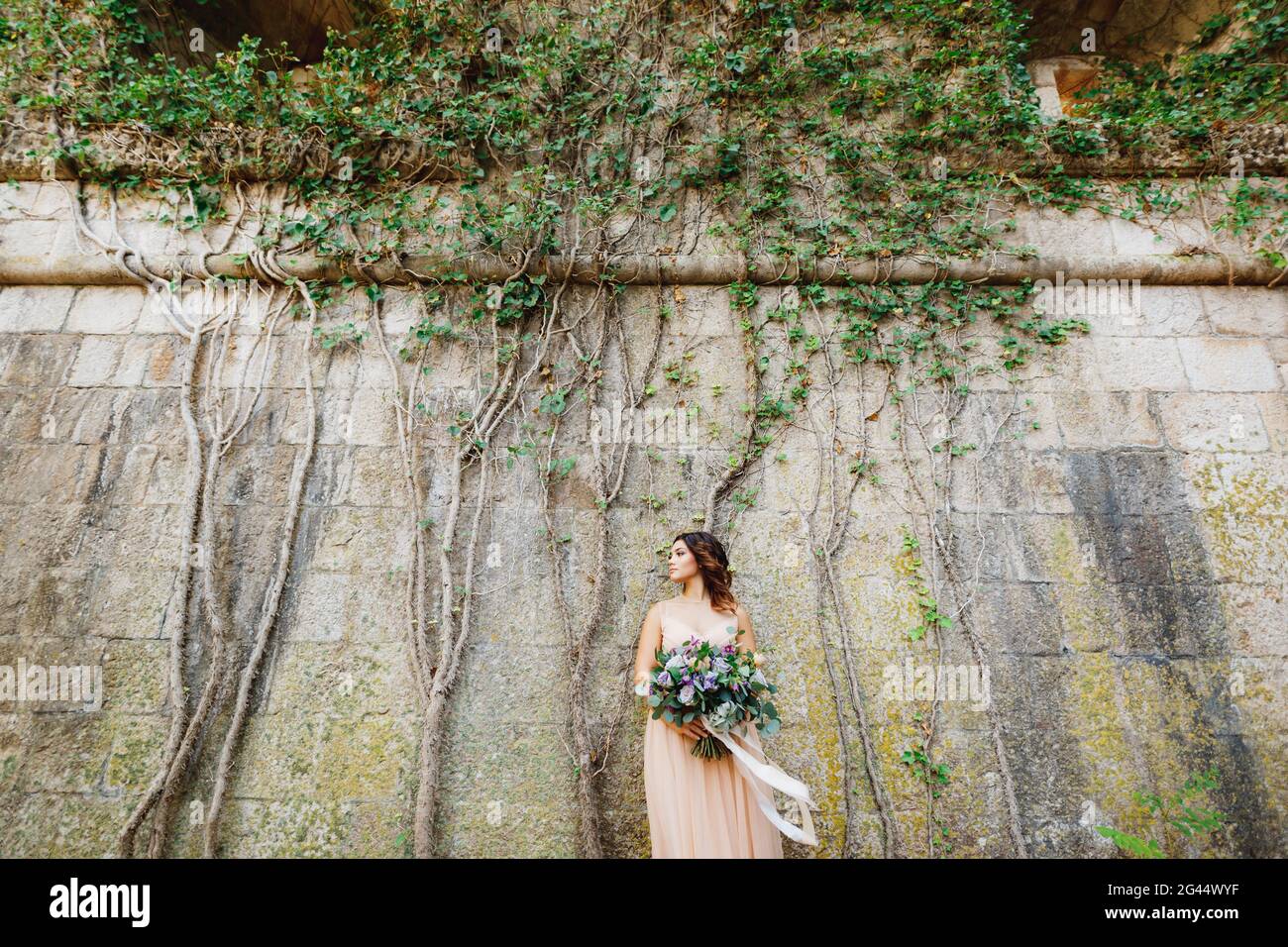 Lovely bride in a pastel dress with a luxurious bouquet of flowers stands against the background of a stone wall entwined with g Stock Photo