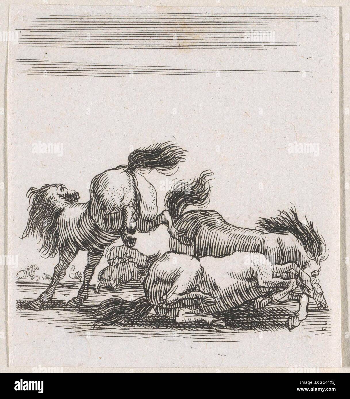 Fighting horses; Various exercises of the cavalry; Diverses Exercices ...