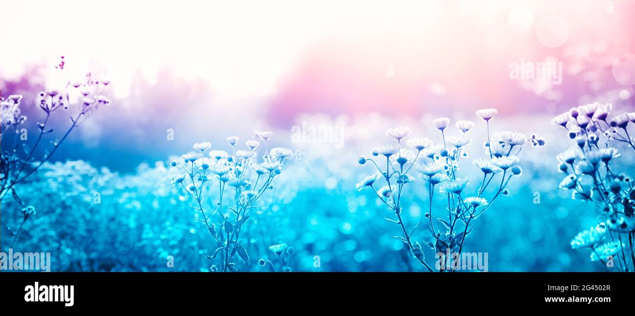 Sunny green spring summer hi-res stock photography and images - Alamy