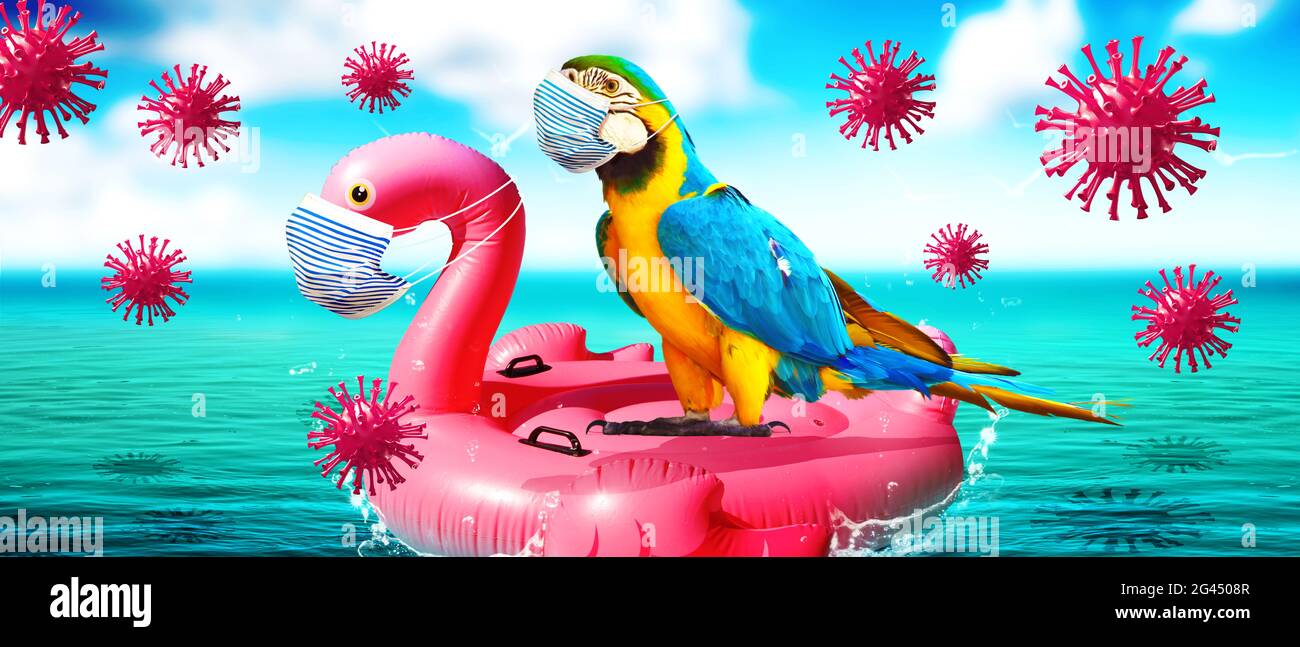 Inflatable swan with corona virus mask and parrot on vacation Stock Photo