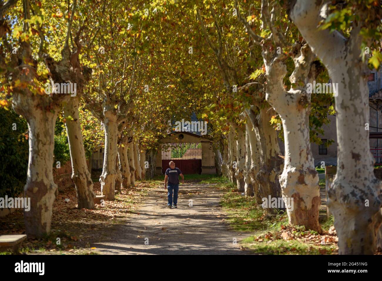 Walking in the Sedó  industrial colony, in Esparreguera neighborhood in autumn (Baix Llobregat, Barcelona, Catalonia, Spain) Stock Photo