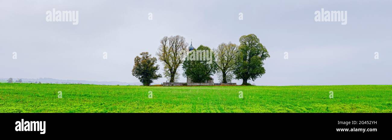 Church and trees in green field, Bavaria, Germany Stock Photo