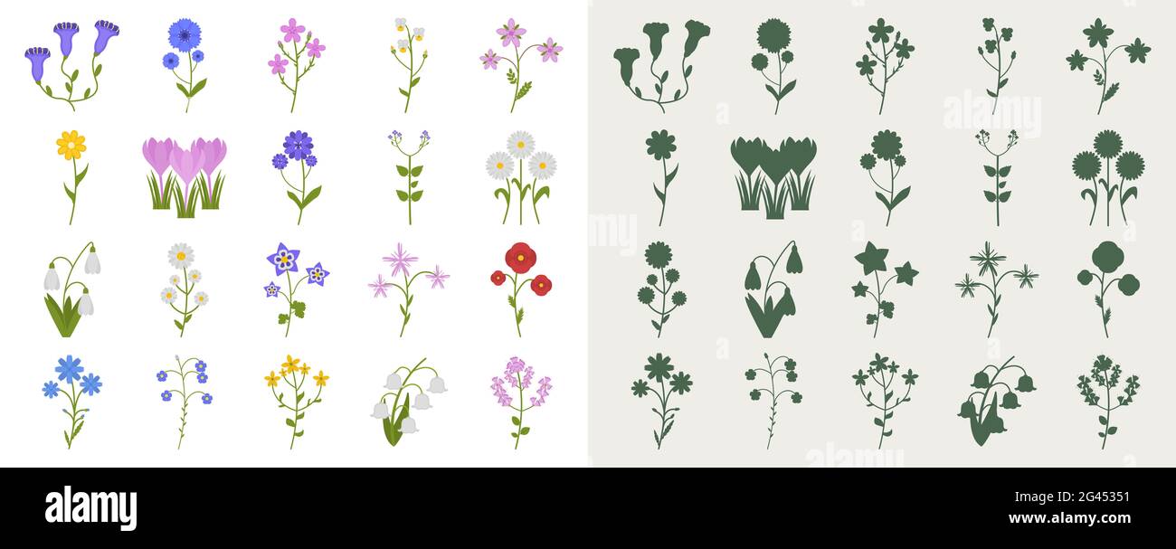 A set of wildflowers in a flat style and silhouettes. Vector illustration of flowers. Stock Photo