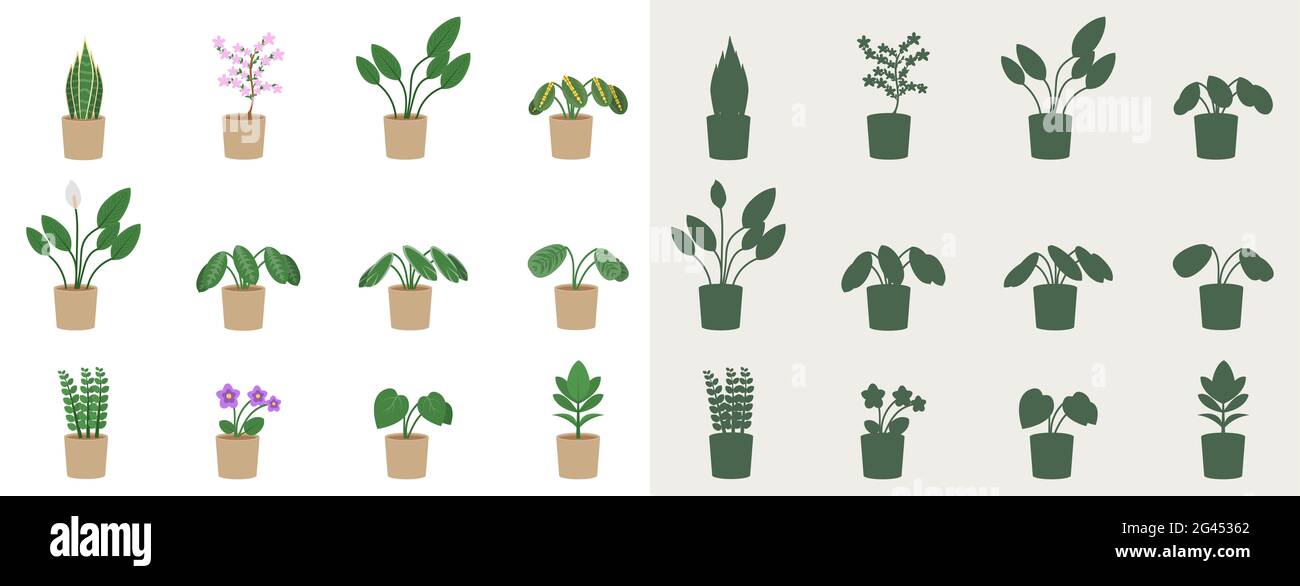 Set of indoor plants in a flat style and silhouettes. Vector ...