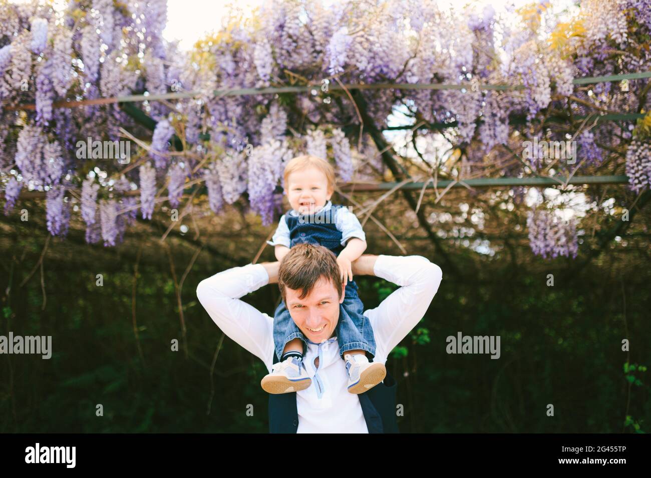 Baby boy is sitting on his dad's shoulders under a wysteria tree Stock Photo