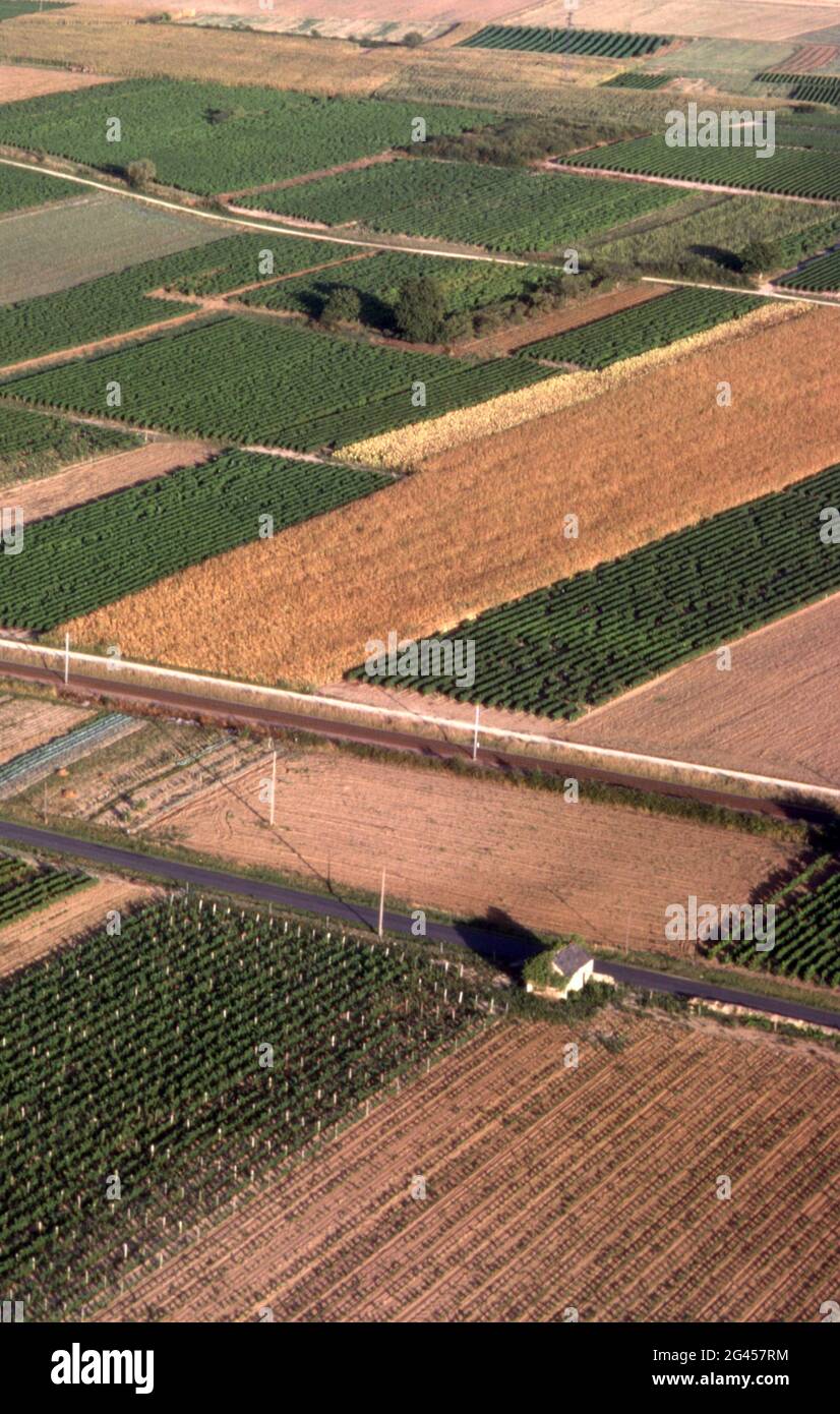 AERIAL OVER FARMLAND AND CROPS NEAR SAUMUR IN THE LOIRE VALLEY, FRANCE. Stock Photo