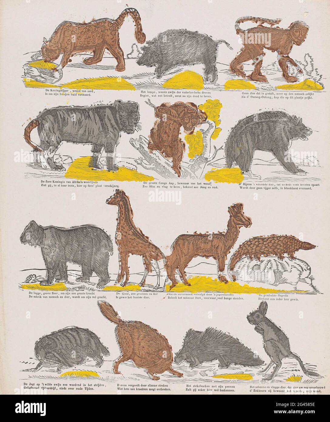 4 legged creature hi-res stock photography and images - Alamy