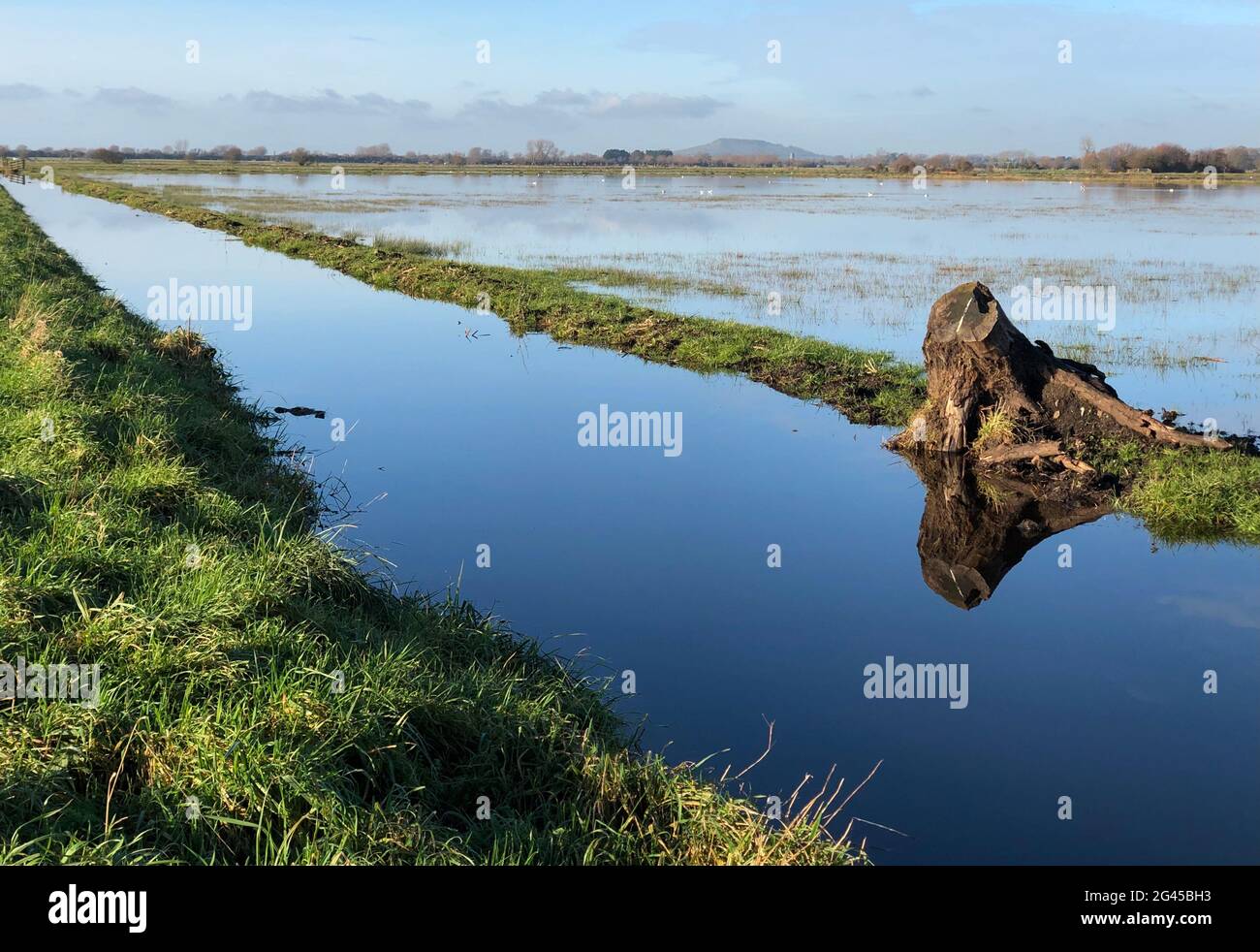 Floods on Somerset Levels Stock Photo