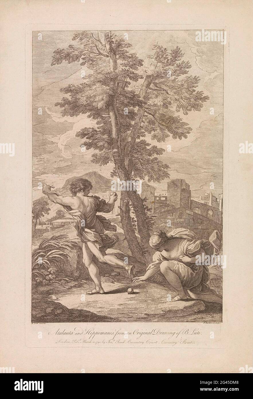 Hippomanes hires stock photography and images Alamy