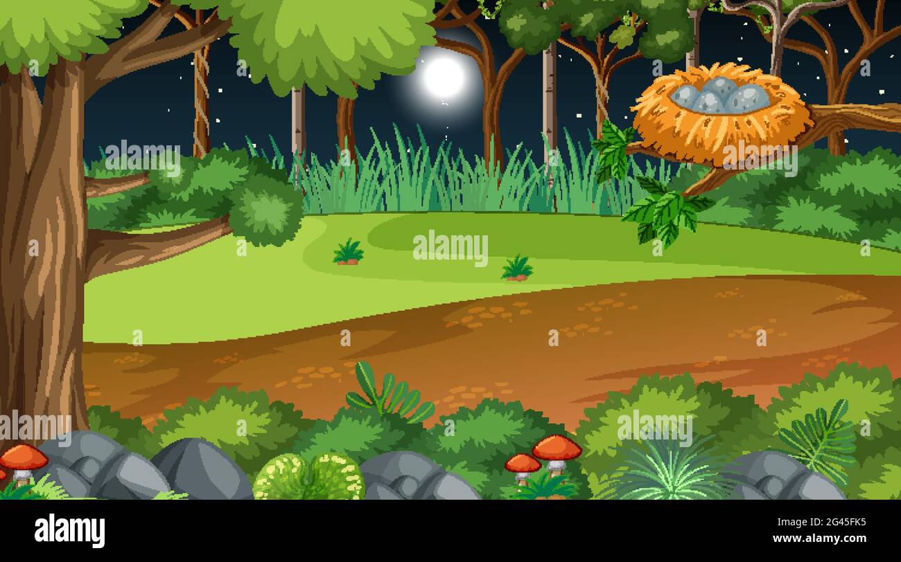 Nature forest at night scene with many trees illustration Stock Vector ...