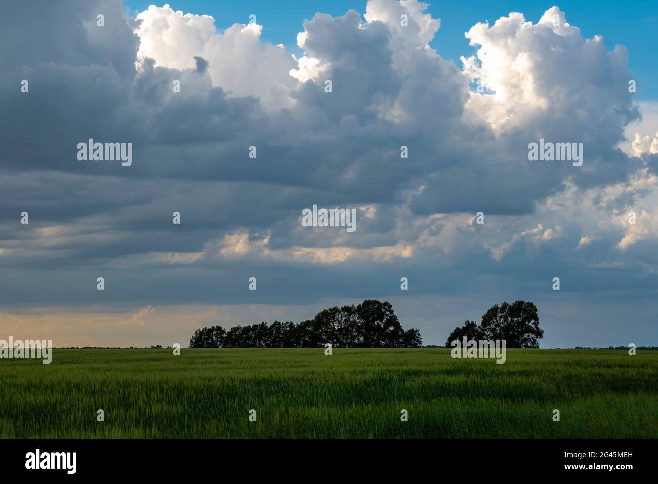 Outdoors, day light front view. Stock Photo