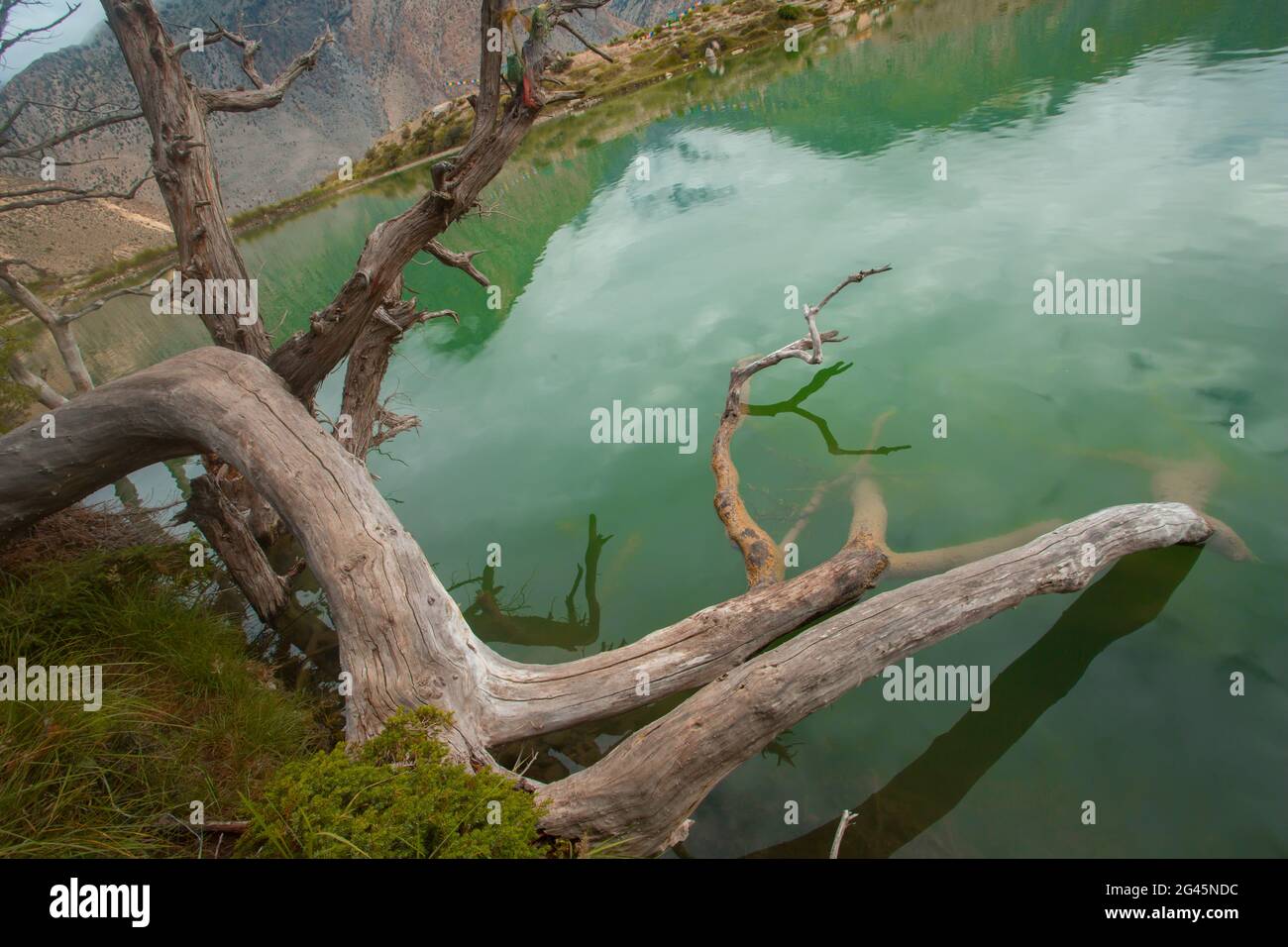 Beautiful shot of a small lake with a wooden in focus and breathtaking clouds in the sky Stock Photo