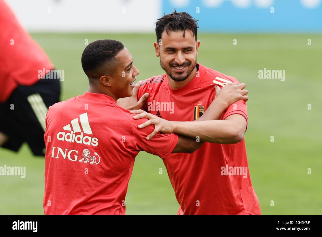 Belgium's Youri Tielemans And Belgium's Nacer Chadli Pictured During A ...