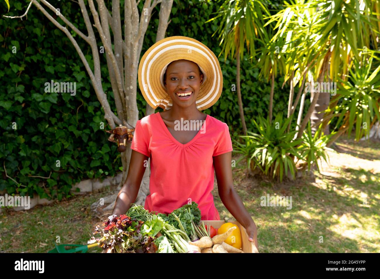 African American woman presenting fresh vegetables in the garden Stock ...