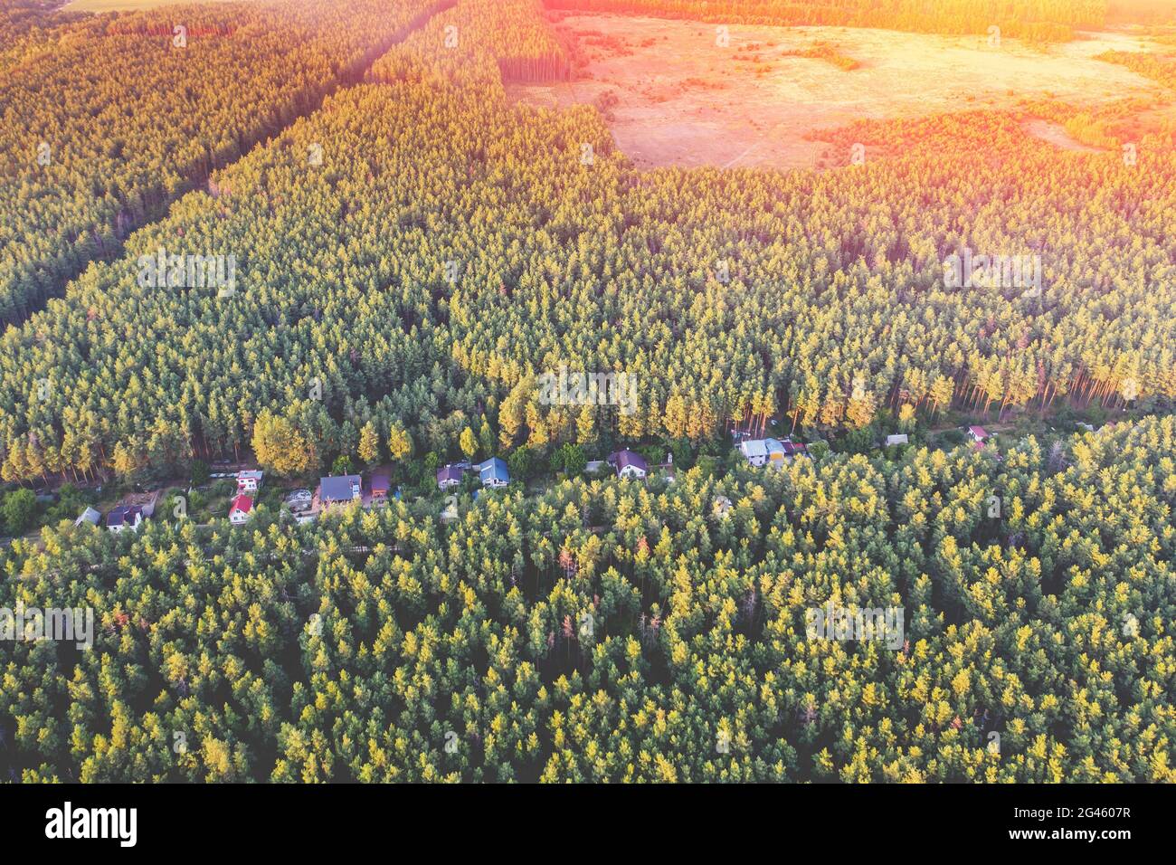 Rural landscape. Aerial view. View of a pine forest and a small village ...