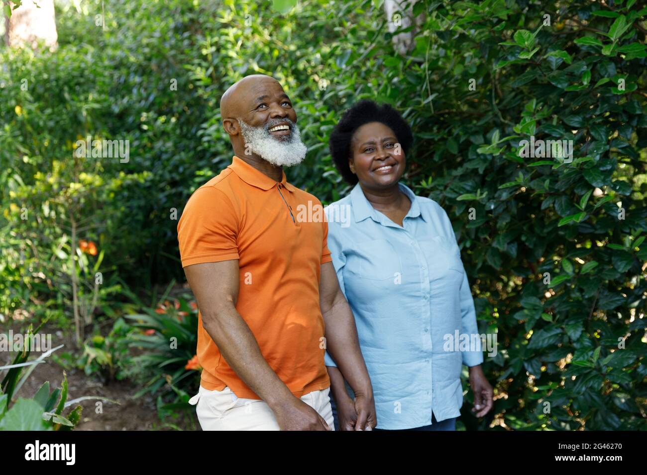 Senior african american couple spending time in garden together Stock ...