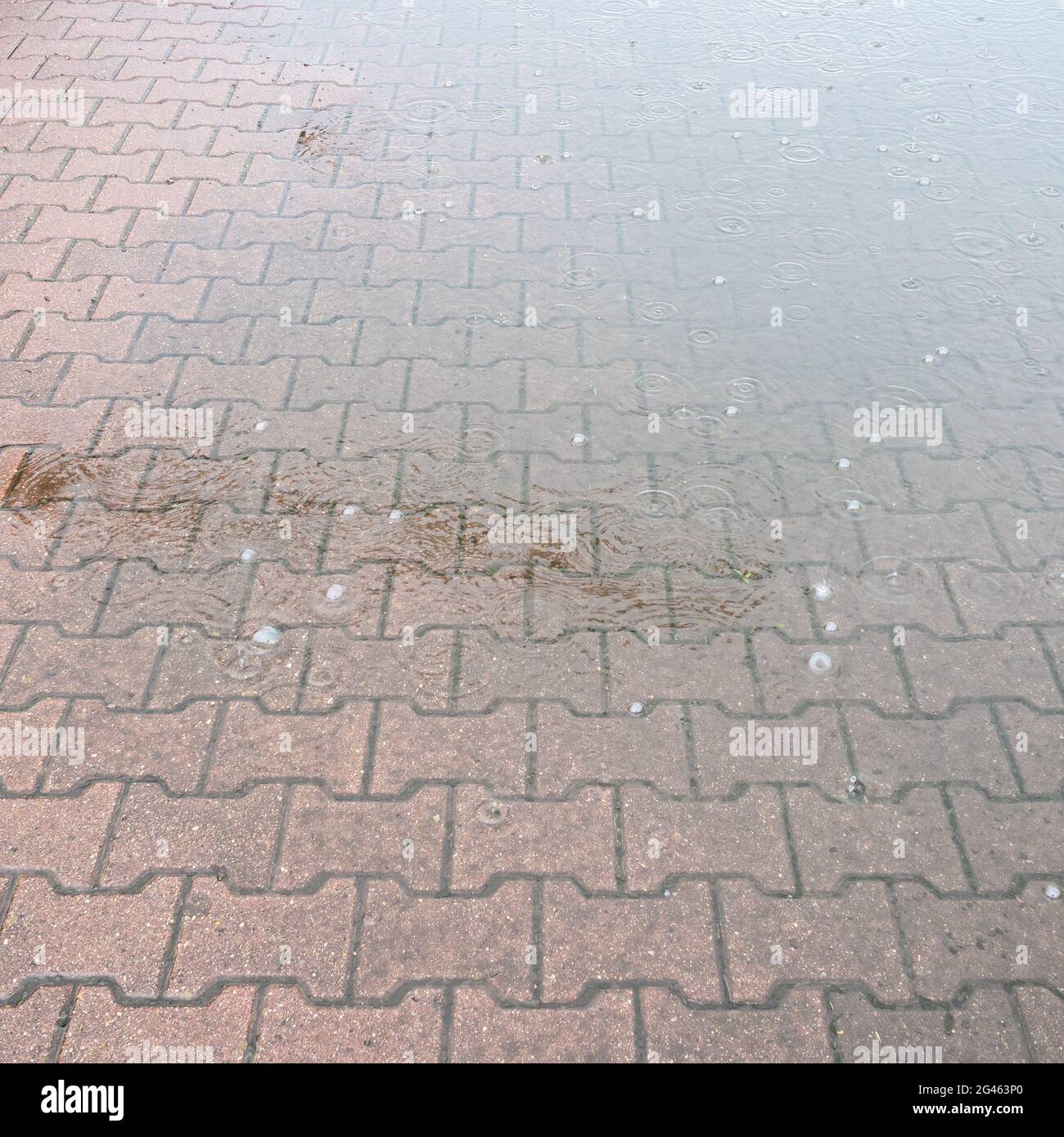 rainy puddle on stone tiles of pavement in heavy rain on summer day
