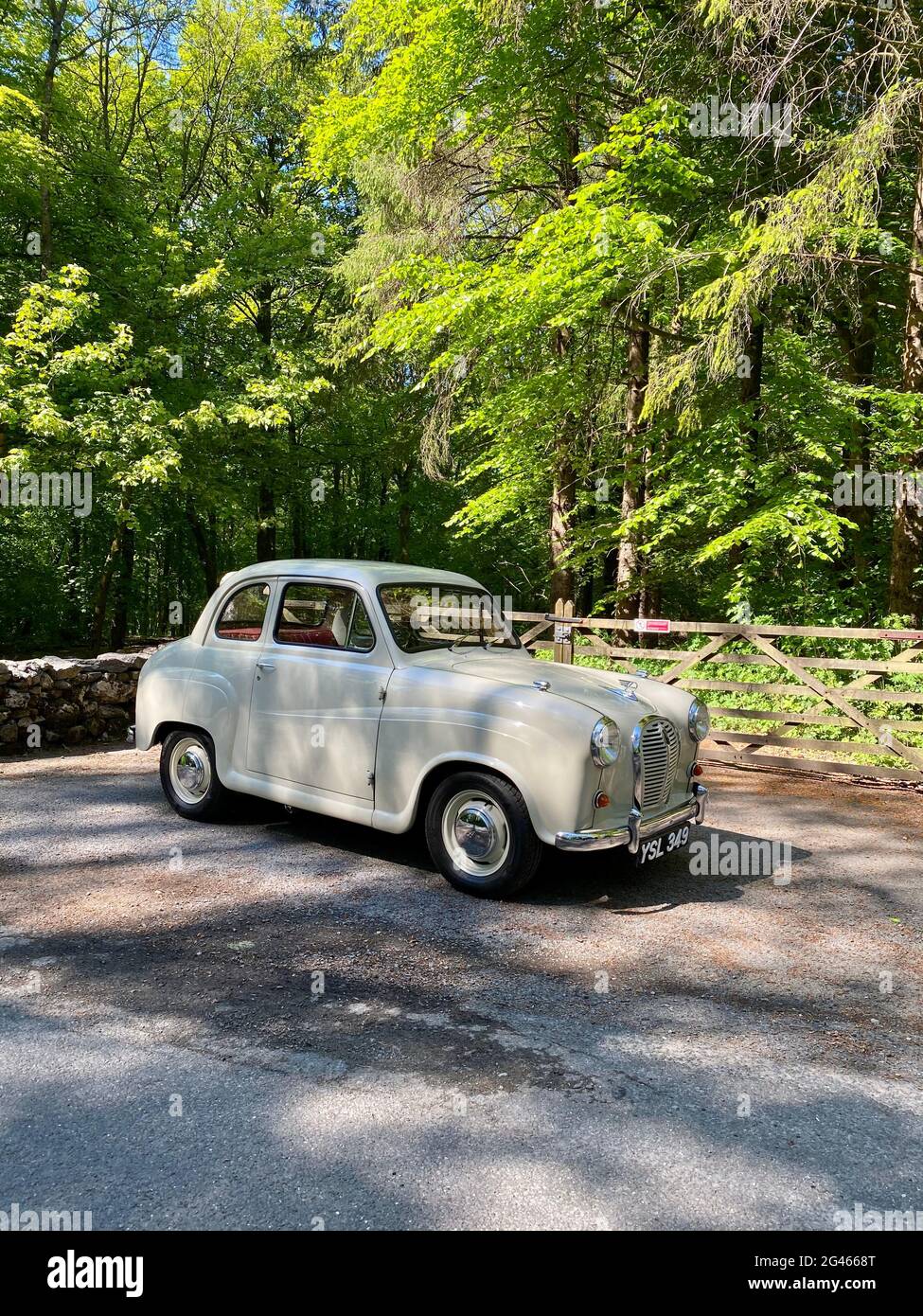 Austin A35 classic car from the 1950s in court grey, outside a forest on British summers day Stock Photo