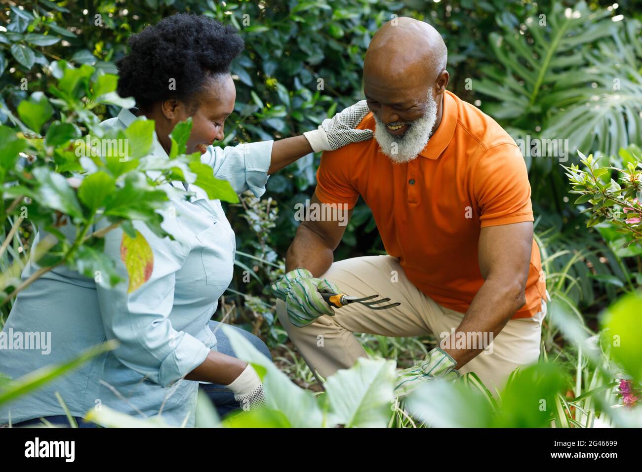 Senior african american couple spending time in garden together Stock ...