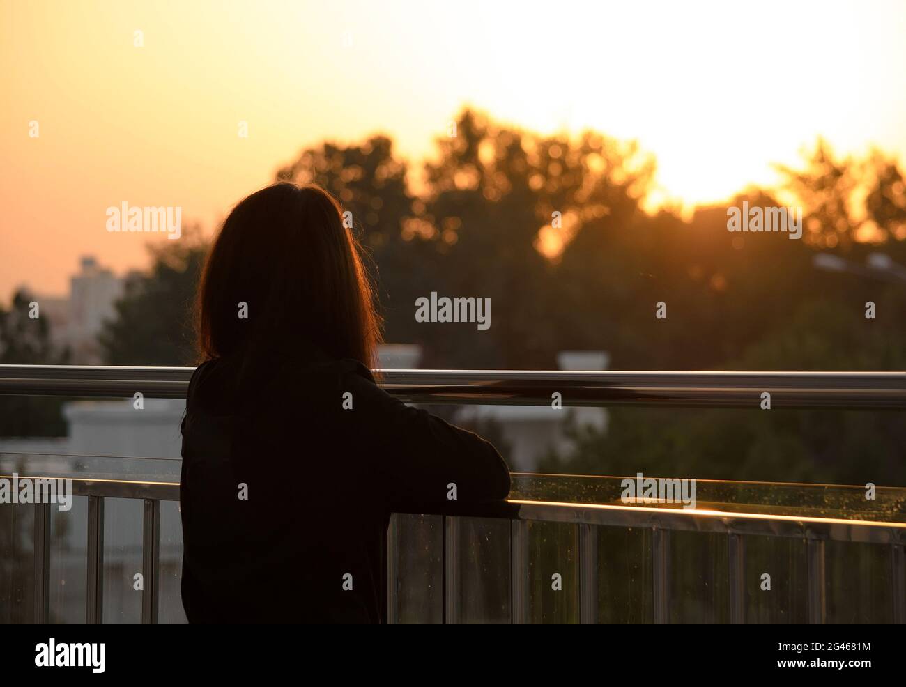 Girl looks at the sunset among the trees, stands on a glass bridge, rear view from the back Stock Photo