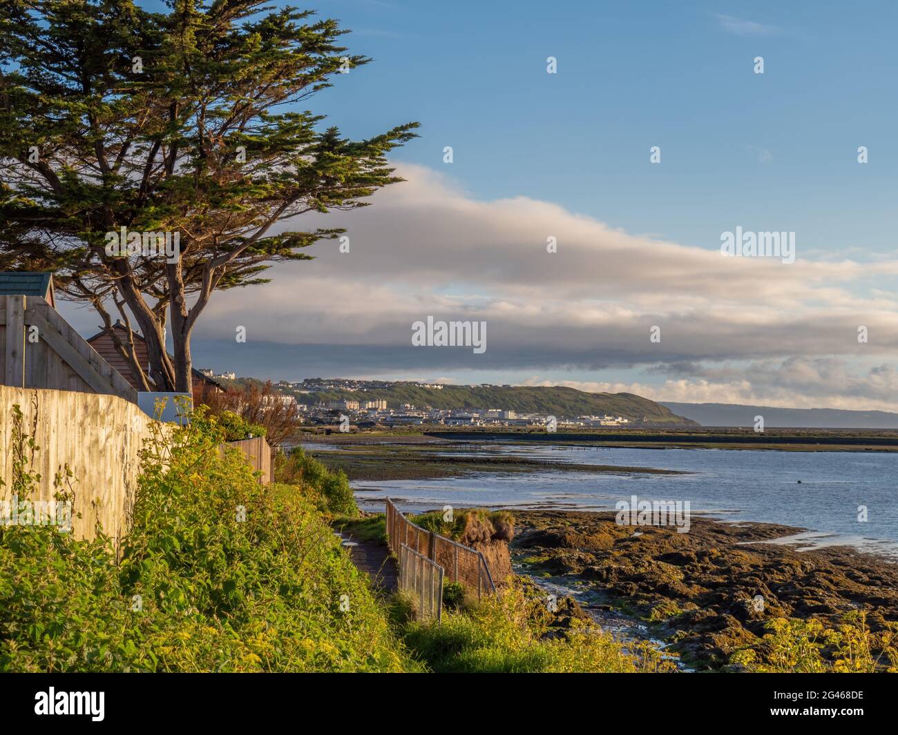 Coastal path walk near Appledore in North Devon Stock Photo Alamy