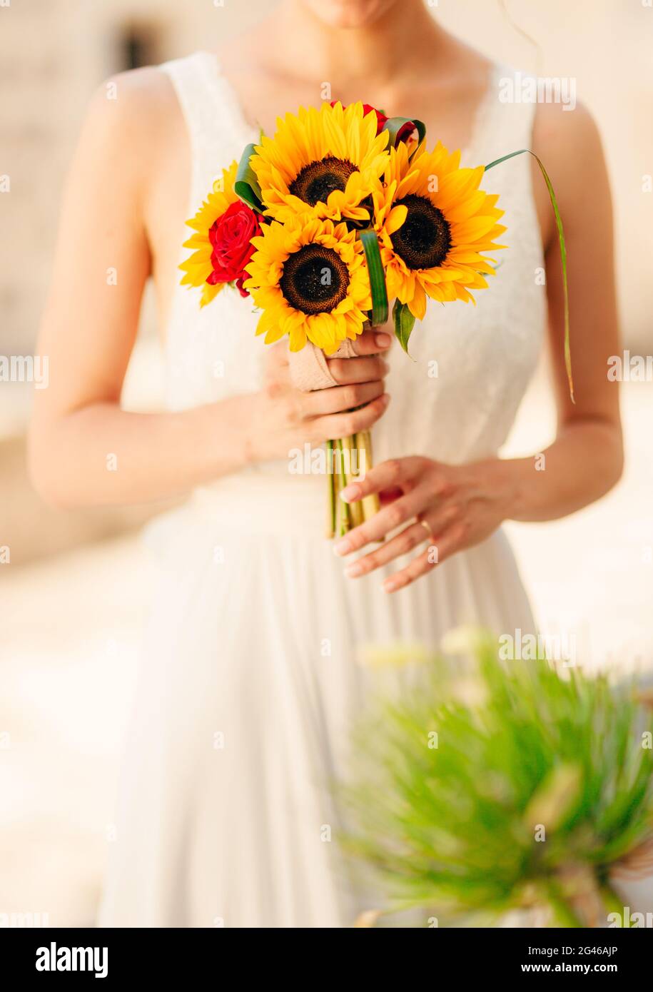 Wedding bridal bouquet of sunflowers in the hands of the bride. Stock Photo