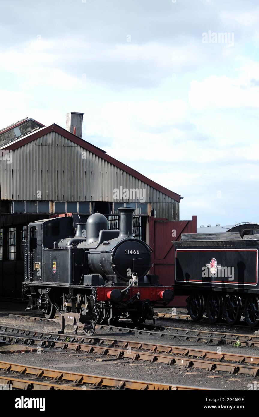 '1466' on shed at Didcot with the tender of '30120' on the right. Stock Photo