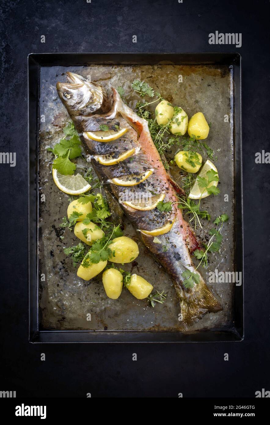 Traditional smoked and roasted char with boiled potatoes and lemon slices offered as top view on a rustic metal tray Stock Photo