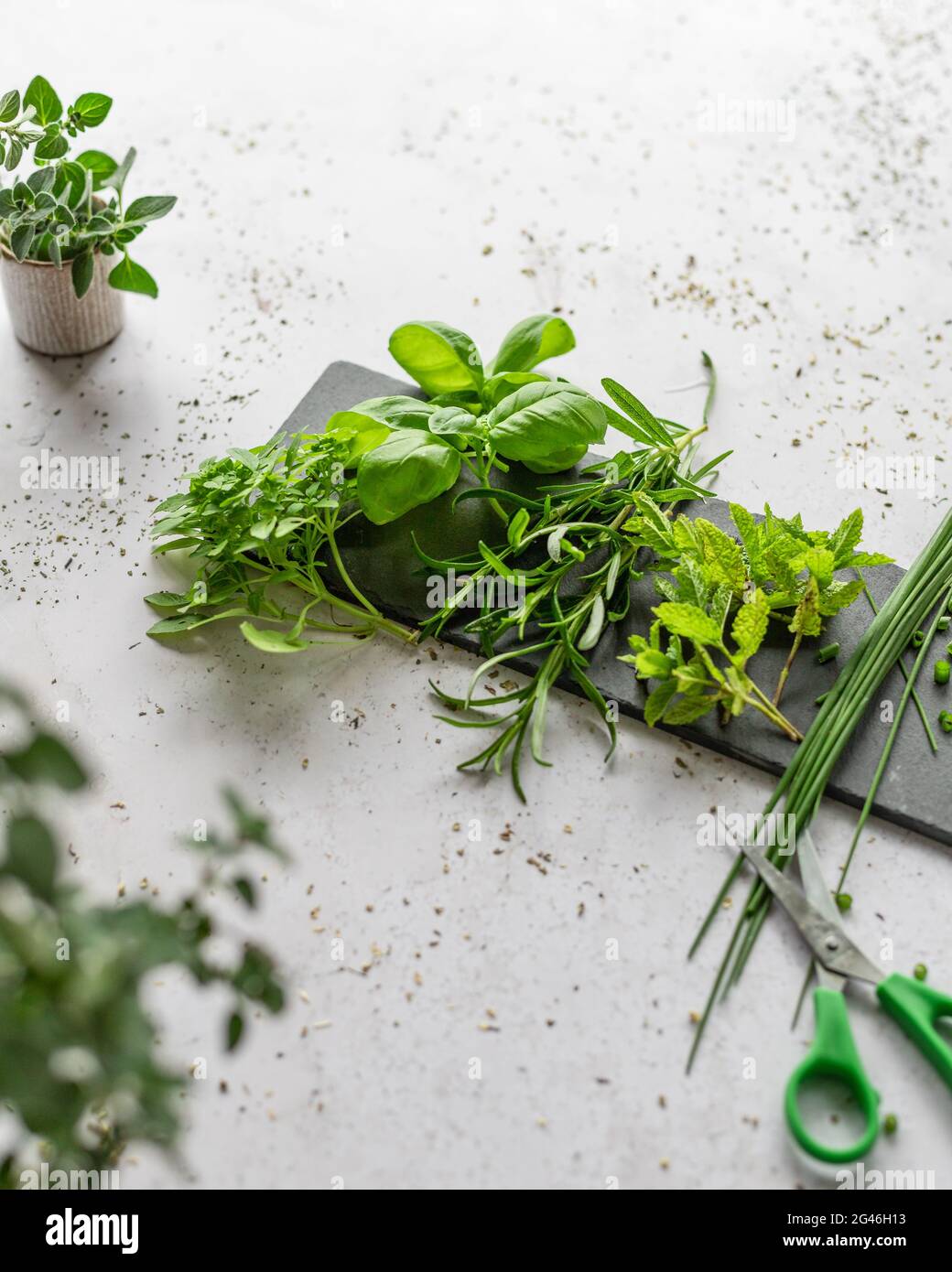 Green fresh herbs from the garden; basil, rosemary, mint, and chives Stock Photo