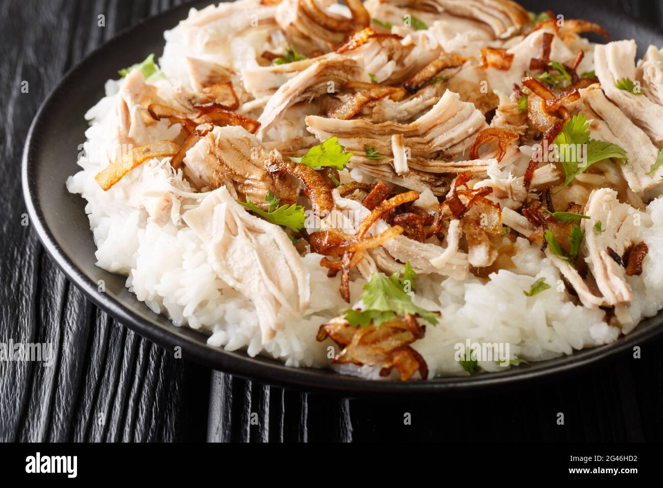 Turkey with rice and fried onions close-up in a plate on the table. horizontal Stock Photo