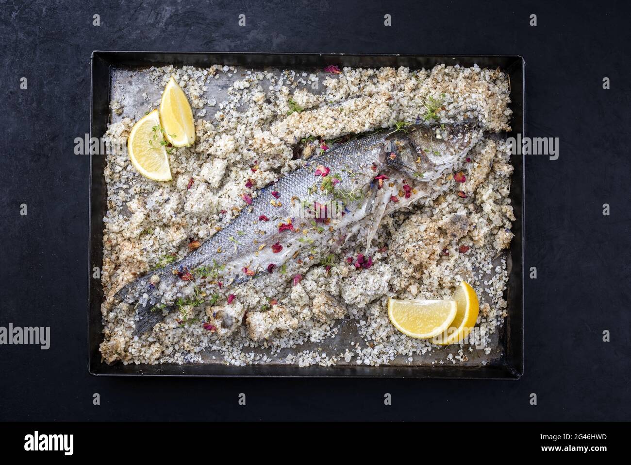 Traditional Atlantic loup de mer bedded into sea salt served with lemon slices and spices as top view on a rustic metal tray Stock Photo