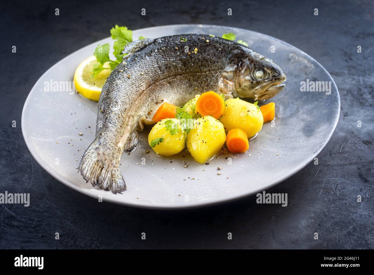 Modern style traditional steamed rainbow trout with boiled potatoes and carrot slices offered as close-up on a design plate Stock Photo