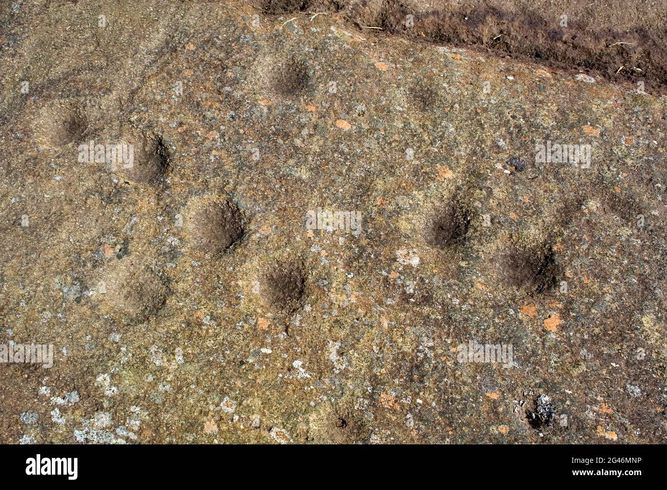 Cup and ring marked stones at Cairnbaan in Argyll Scotland Stock Photo