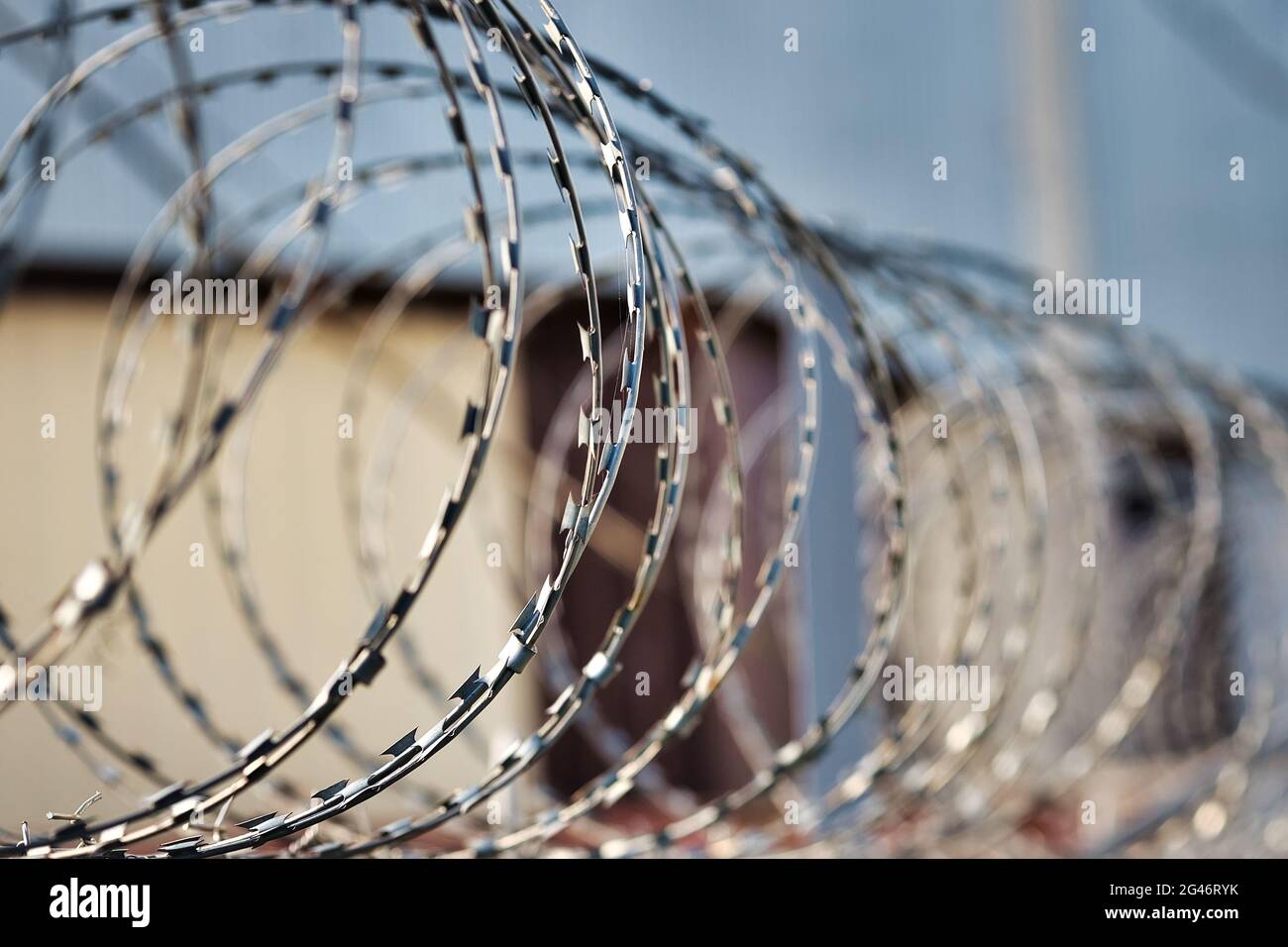Spirals of barbed wire on a concrete fence. A symbol of incarceration and lack of freedom. Stock Photo